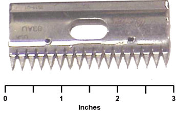 Clipper Cutter