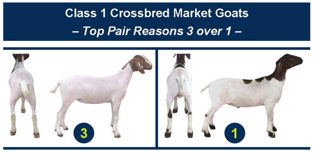 Top pair reasons