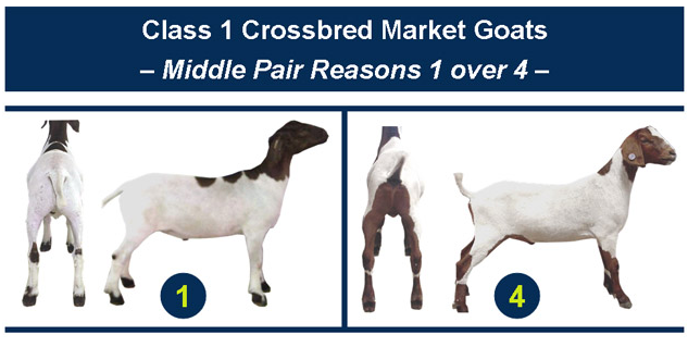 Middle pair reasons