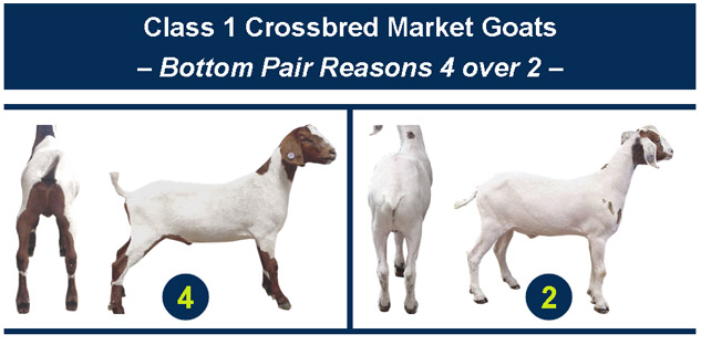 Bottom pair reasons
