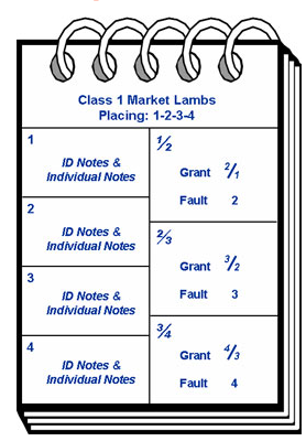 6x9 Spiral Steno Pad