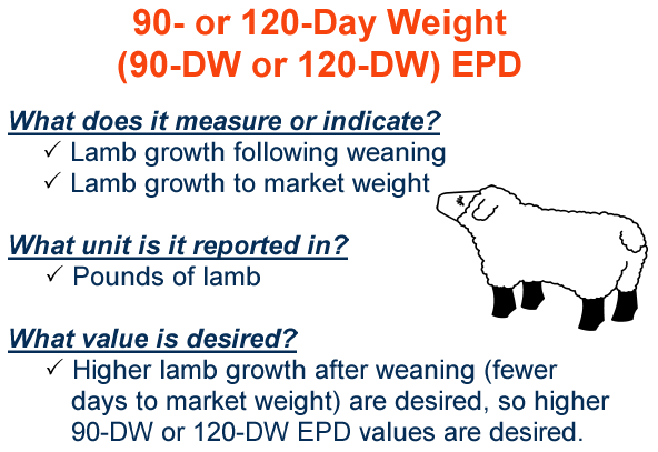 90 or 120 Day Weight