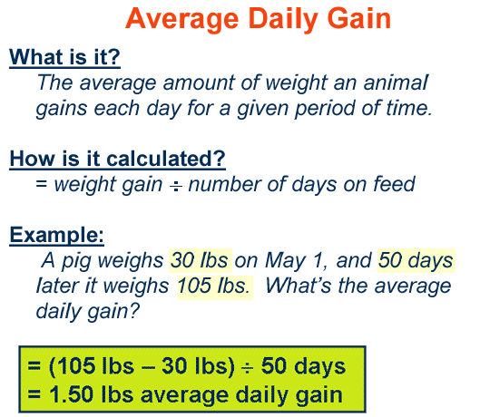 Average Daily Gain