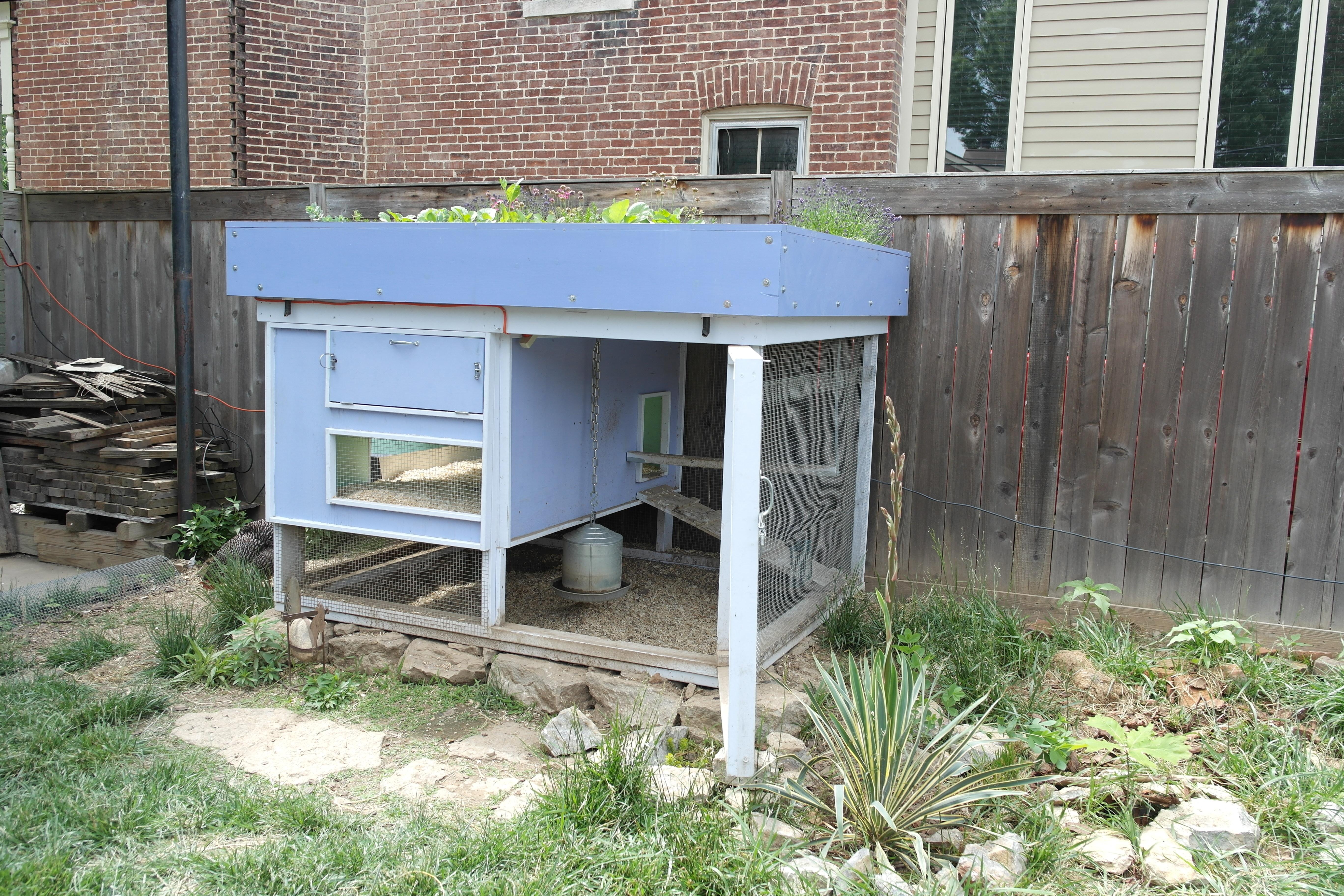 Backyard coop