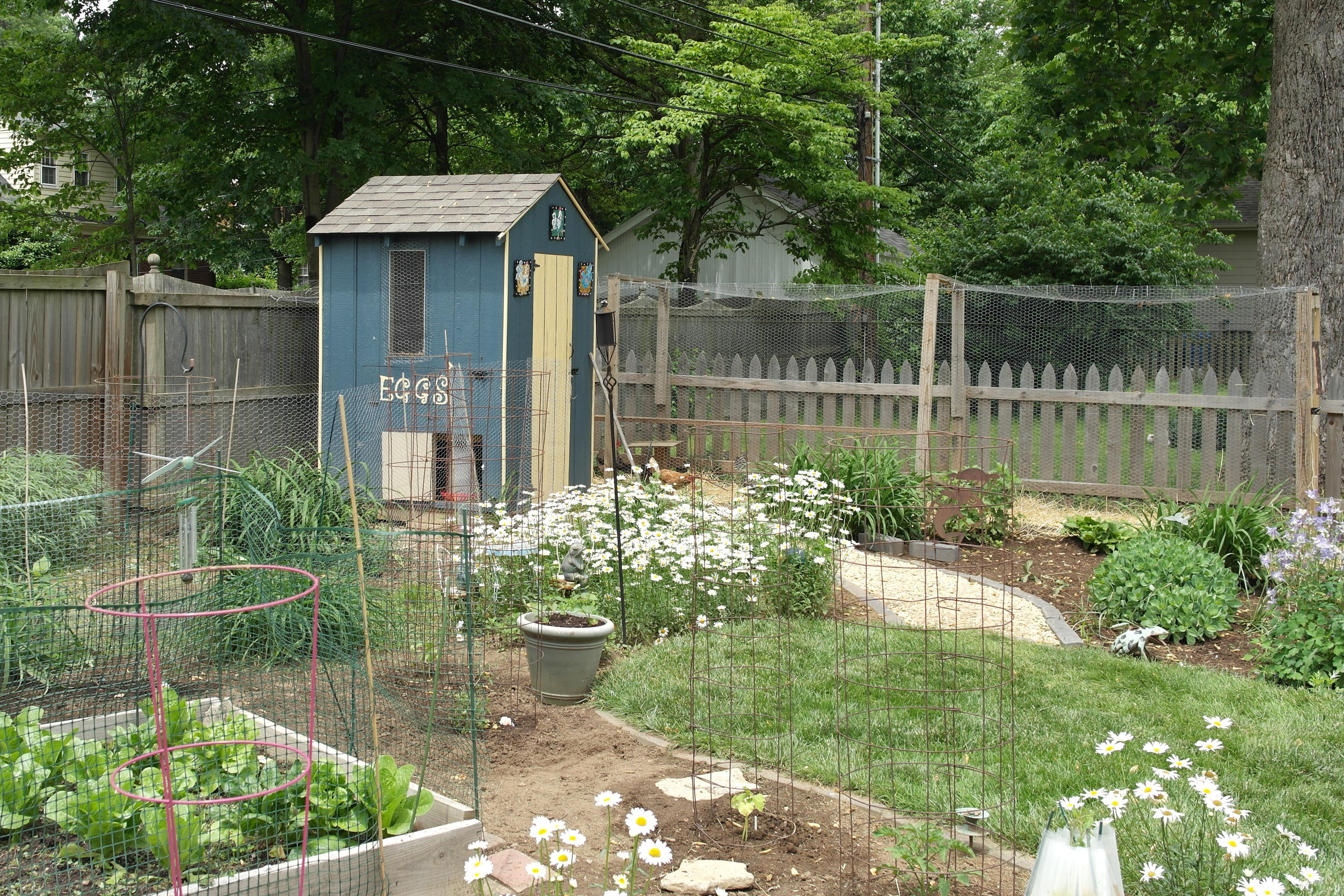 Backyard coop