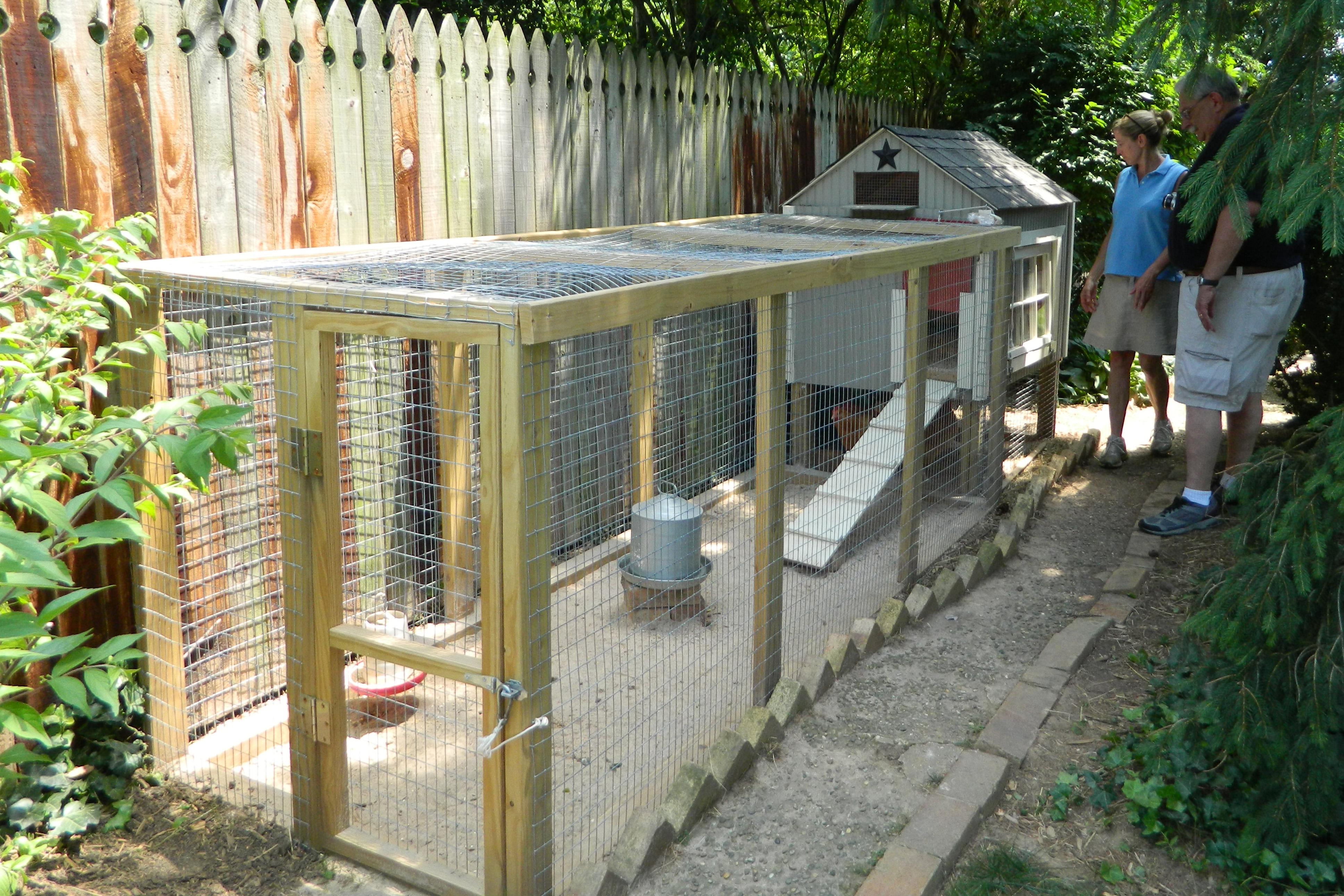 Backyard coop