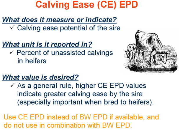 Calving Ease EPD