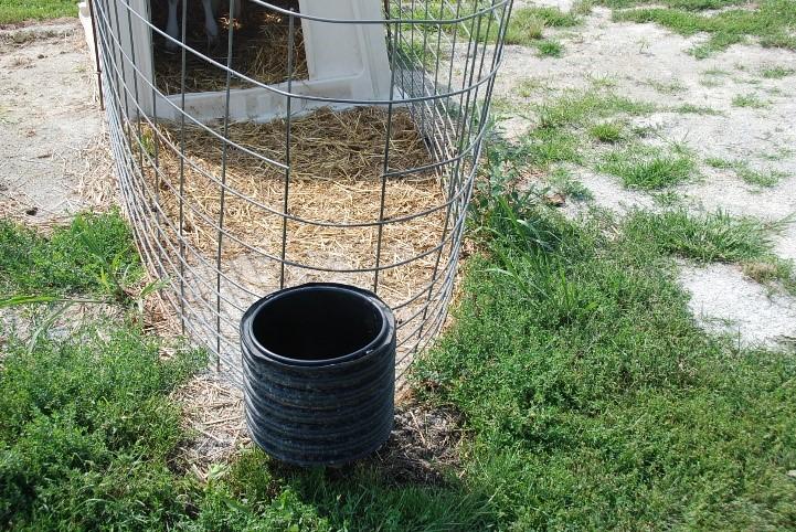 Dairy Calves Need Water in Addition to their Milk and Starter Figure 1