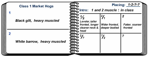 Developing Notes
