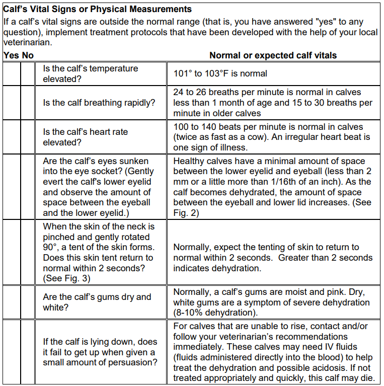 Step 2:  Calf's Vital Signs or Physical Measurements