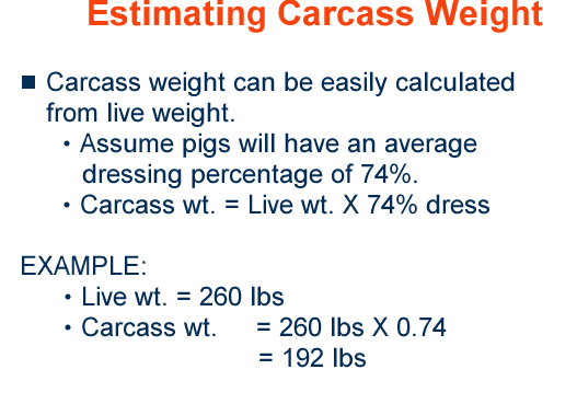 Estimating Carcass Weight