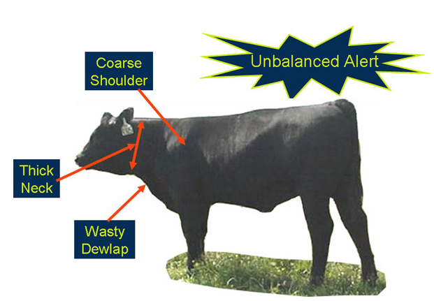 Evaluating style and balance unbalanced alert