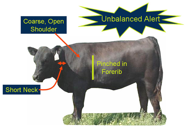 Evaluating style and balance unbalanced alert