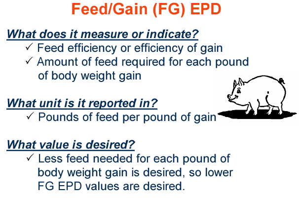 Feed Gain EPD