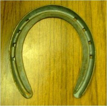 Steel Outside-rim Shoe