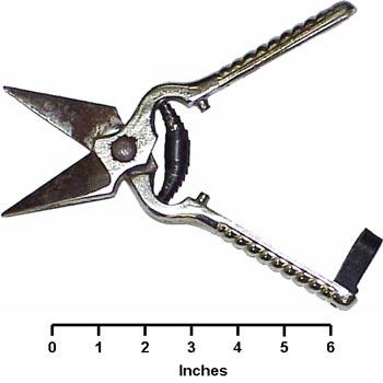 Foot Rot Shears
