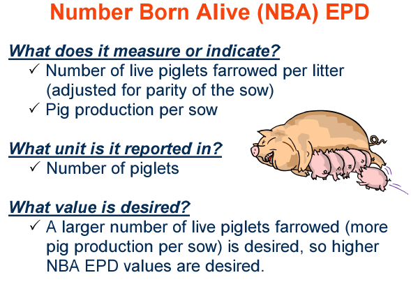 Number Born Alive EPD