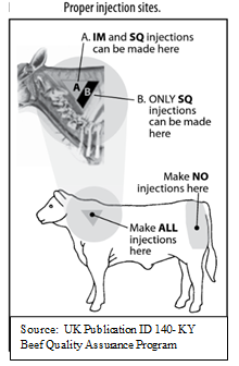 A diagram showing proper injection sites