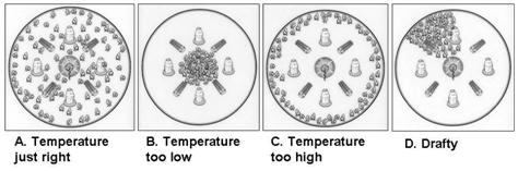 Figure 10.1