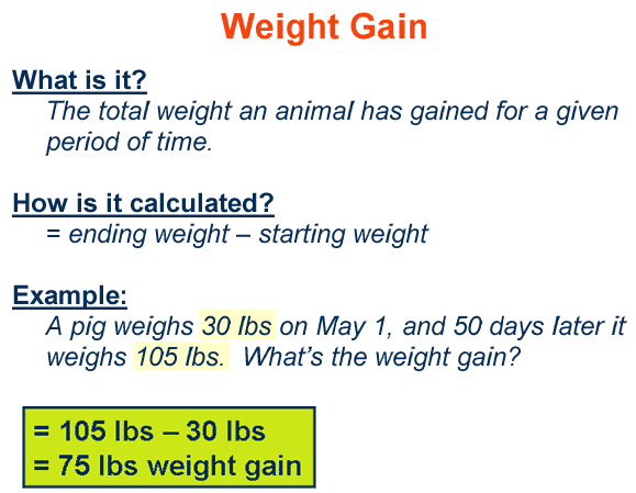 Weight Gain