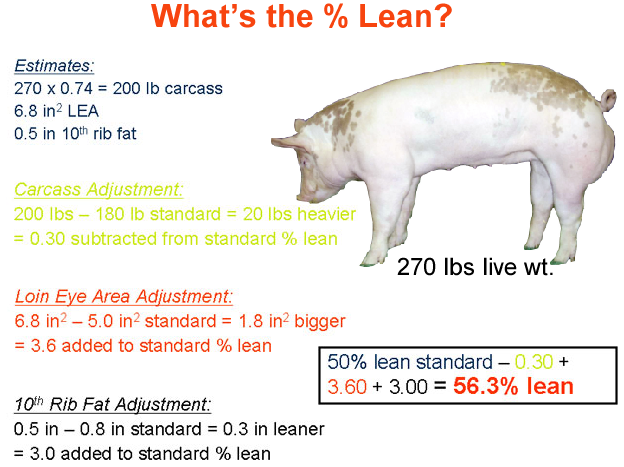 whats the percent lean1 answer