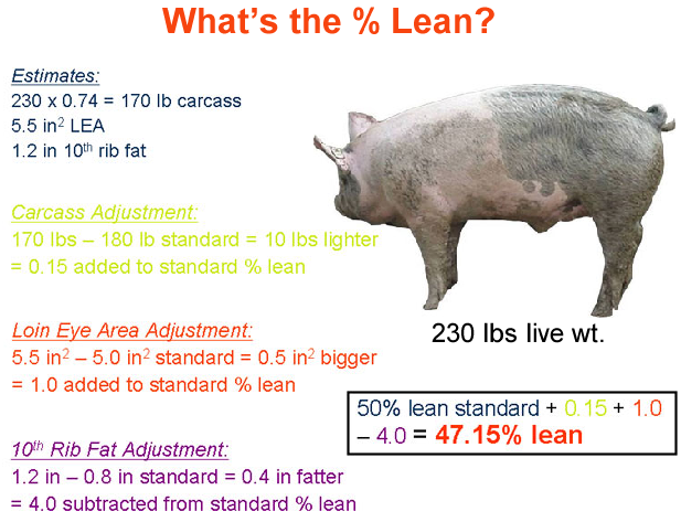 whats the percent lean3 answer