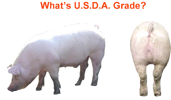 whats the usda grade2 2
