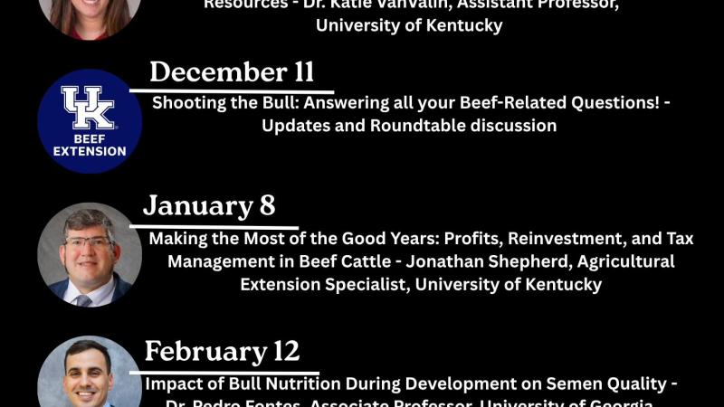 Beef Management Webinar Series graphic