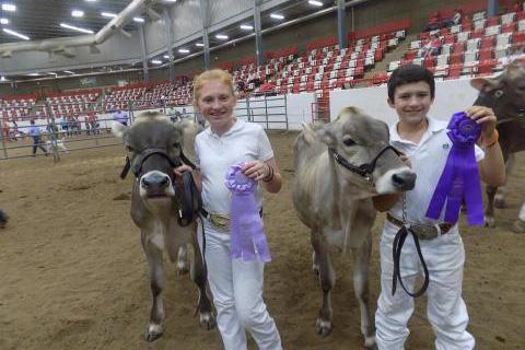 Youth show off their ribbons for their dairy cows