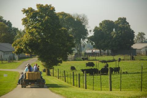 The 2021 Beef Bash included a hay ride tour of the UK Animal Research Center.